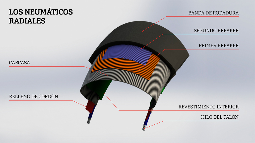 ES-LOS-NEUMATICOS-RADIALES